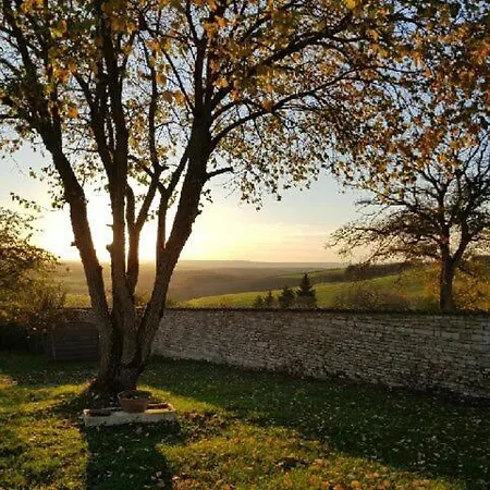 Champagne * קולומבי-לה-דו-אגליז